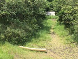 374-s-3.jpg