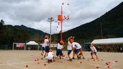 1098-s-2.jpg