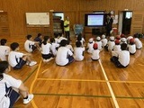 1145-s-2.jpg