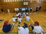1146-s-1.jpg